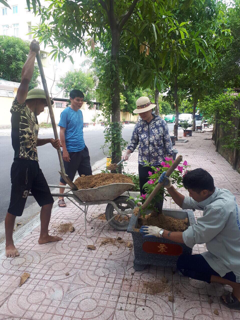 Nhân dân cùng hưởng ứng ra quân trồng ngõ hoa